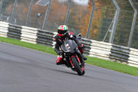 BIKES 0539