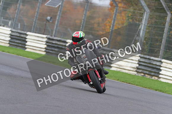 BIKES 0539