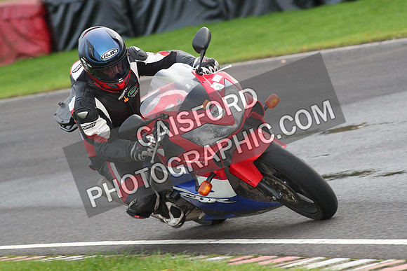 BIKES 0961