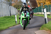 Kawasaki Ninja green