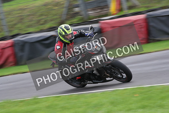 BIKES 0947