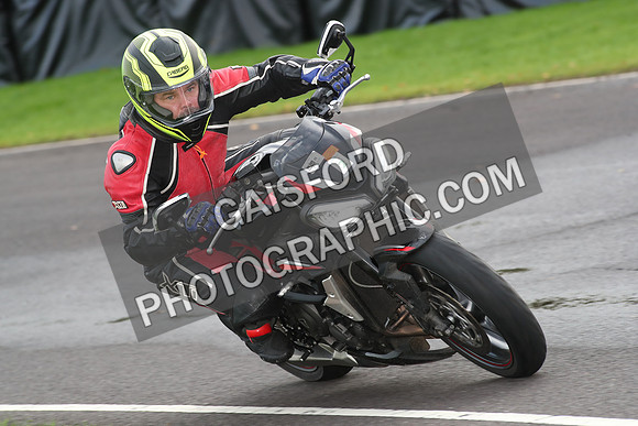 BIKES 0960