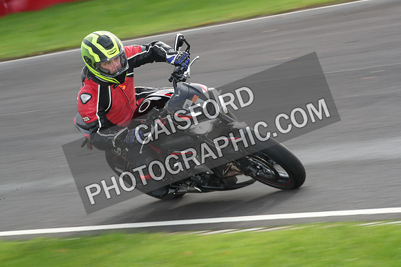 BIKES 0981