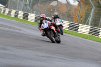 BIKES 0181