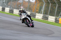 BIKES 0193