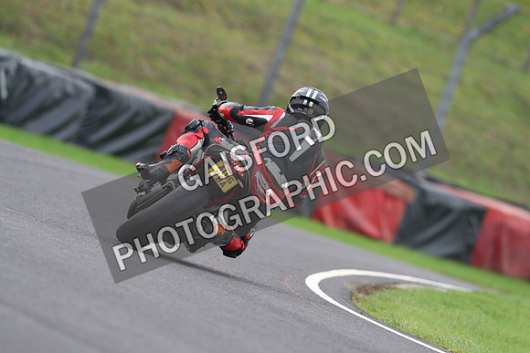 BIKES 2669