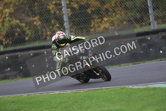 BIKES 1230