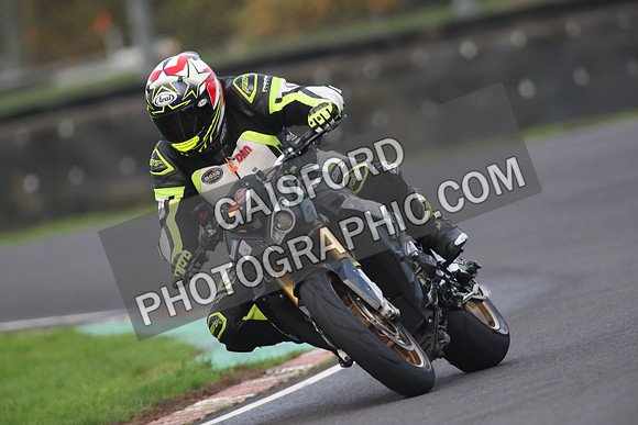 BIKES 1249