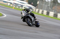 BIKES 0198
