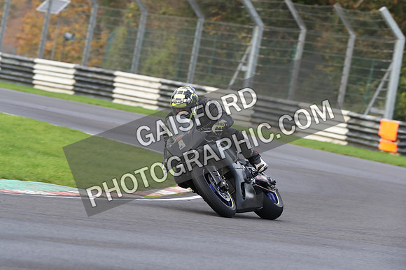 BIKES 0233