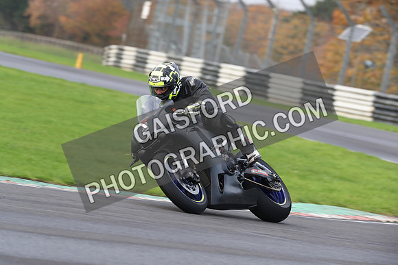 BIKES 0234
