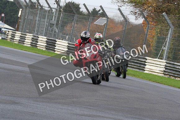 BIKES 0175
