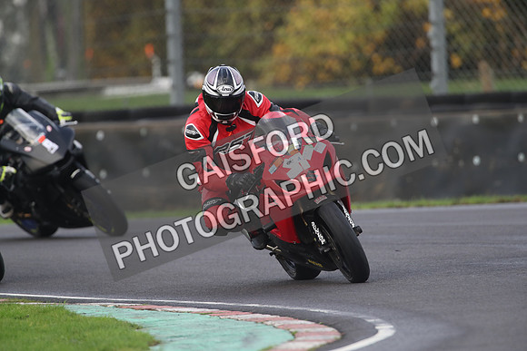 BIKES 1178