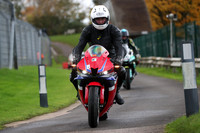 Honda CBR red white n blue