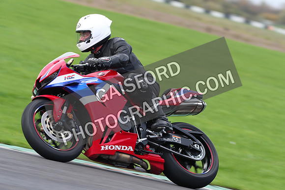 BIKES 0298
