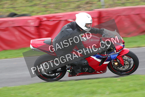 BIKES 0685