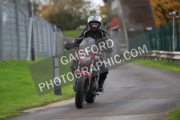 BIKES 0118