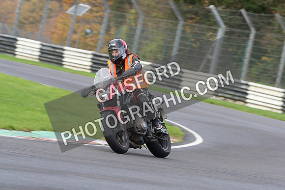BIKES 0261