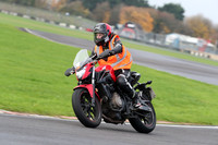 BIKES 0286