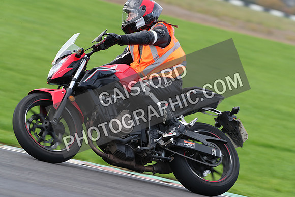 BIKES 0287