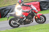 BIKES 0669