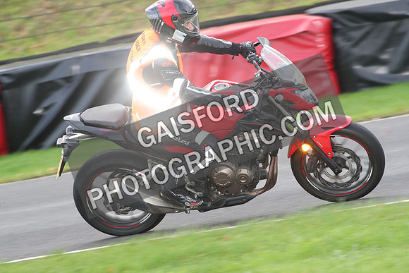 BIKES 0669
