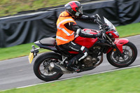 BIKES 0702