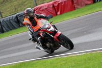 BIKES 0732