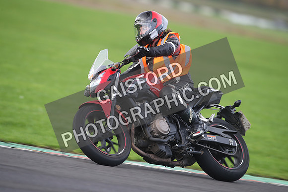 BIKES 2553