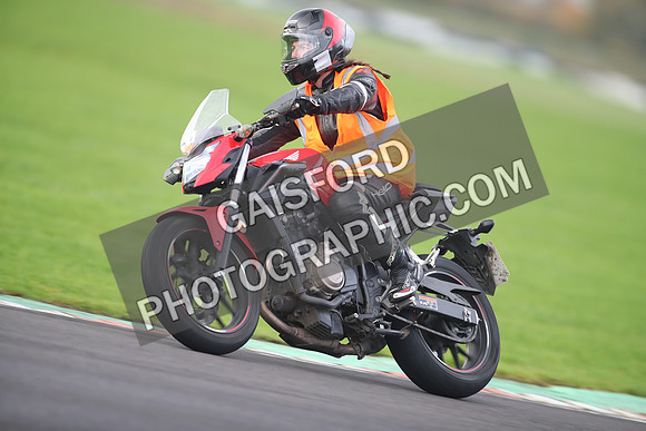 BIKES 2568