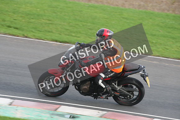 BIKES 2709