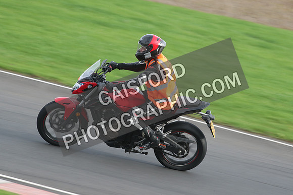 BIKES 2773