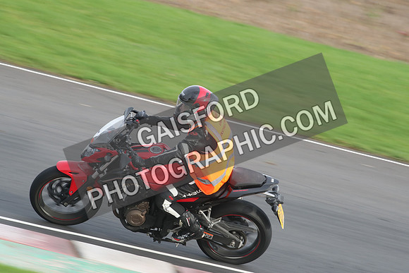 BIKES 2774
