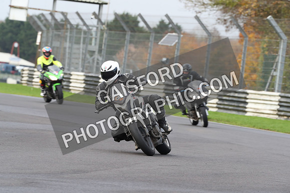 BIKES 0280