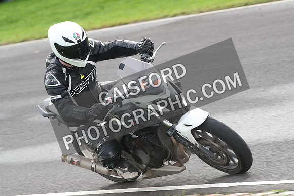 BIKES 0750