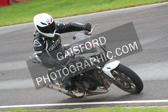BIKES 0738
