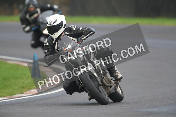 BIKES 1307