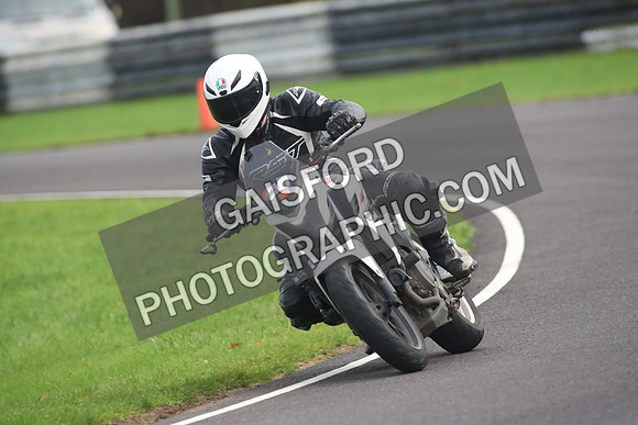 BIKES 2013