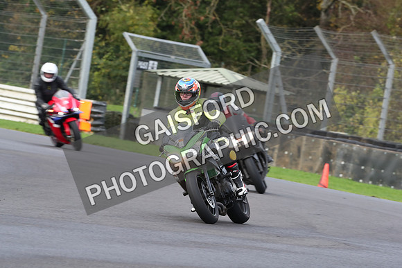 BIKES 0255