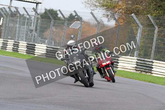 BIKES 0269