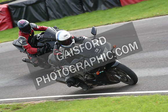 BIKES 0742