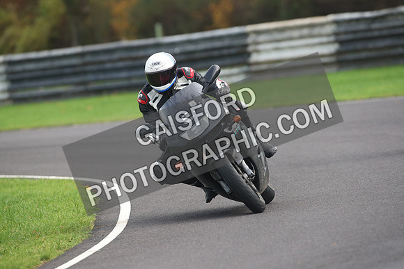 BIKES 2016