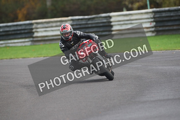 BIKES 2007