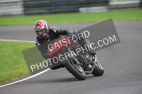 BIKES 2008