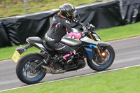 Suzuki GSX