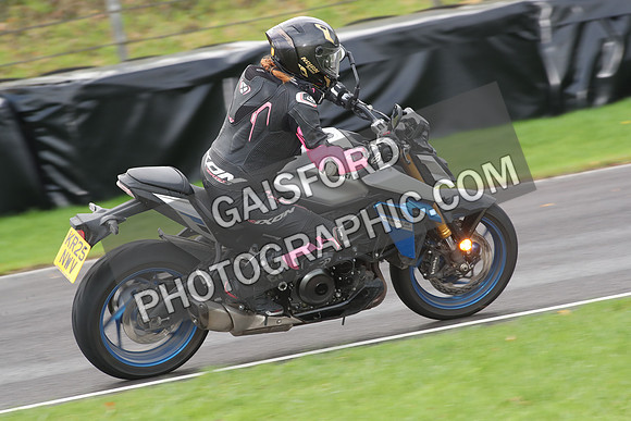 BIKES 0663