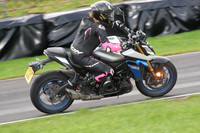 BIKES 0689