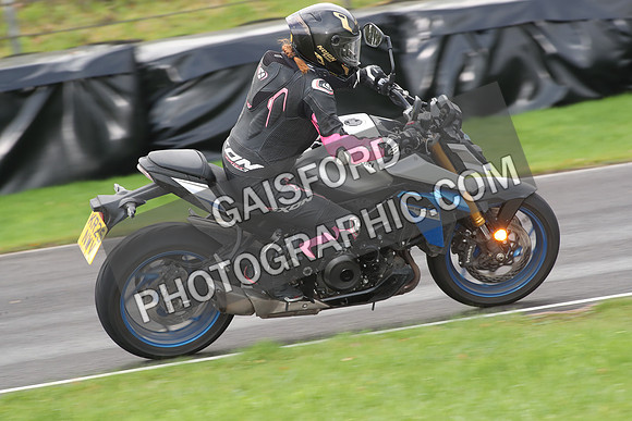 BIKES 0689