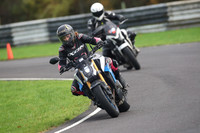 BIKES 2010