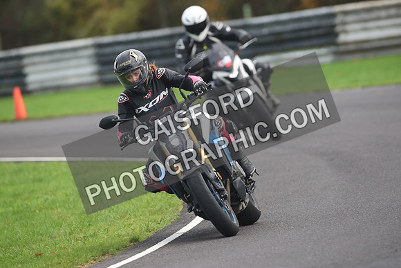 BIKES 2010